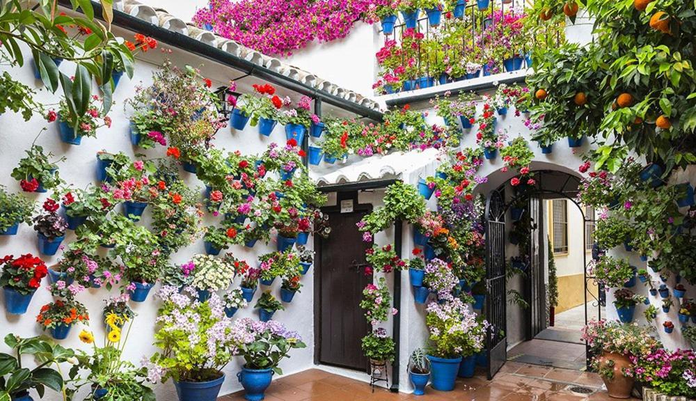 Hacienda Miraflores Apartment Cordoba Exterior photo